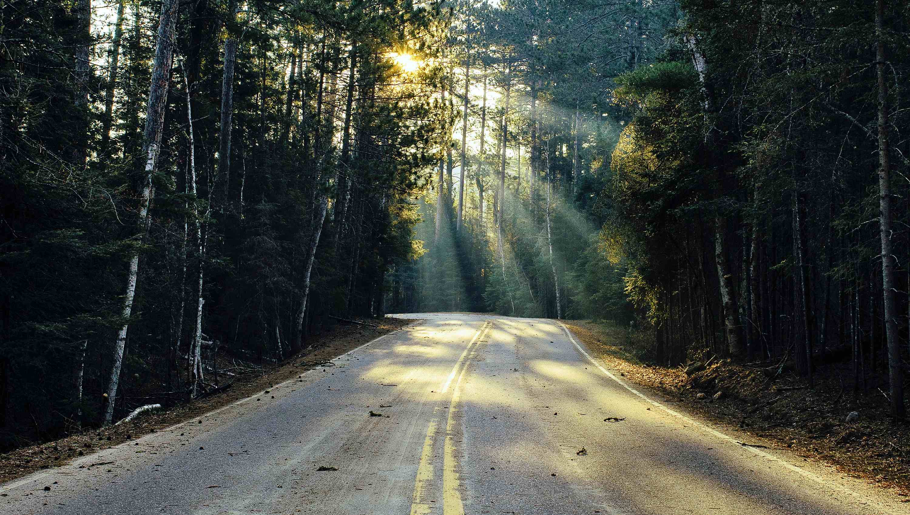 Start Your Journey Today